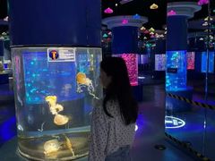 -重庆欢乐海底世界