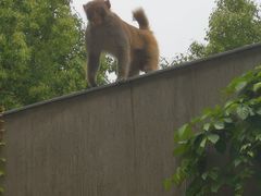 -苏州环秀晓筑养生度假村