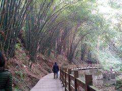 android_upload_pic-崇州市街子古镇