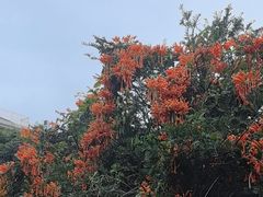 -云溪植物园