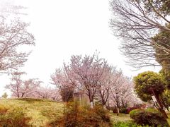 -堤角公园