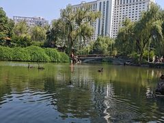 -西苑公园