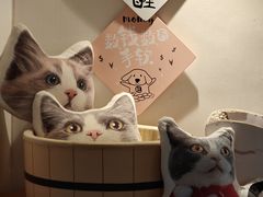 -Catmate·猫肥家润(金润铂宫店)