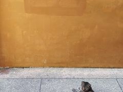 -宝通禅寺