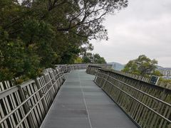 -福道