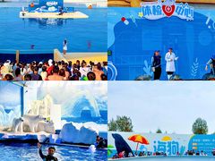 -秦皇岛乐岛海洋王国