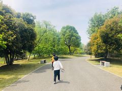 -梁鸿国家湿地公园