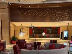 -南京禄口机场雅高铂尔曼大酒店