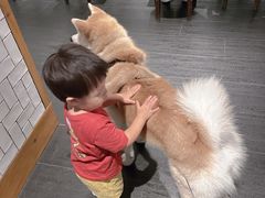 -BOCATA 西班牙餐厅(三里屯店)