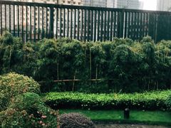-TOUCH·游泳健身(重庆JW万豪店)