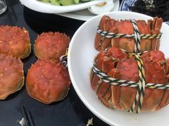 -七的湖·晚芳亭·阳澄湖农家菜·大闸蟹(莲花岛店)