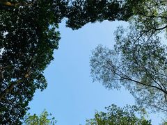 -火炉山森林公园