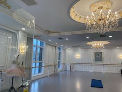 -芭蕾仙子 FairyBallet 少儿芭蕾舞蹈中心(丽都旗舰店)