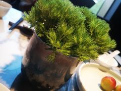 餐具摆设-遇外滩(BFC外滩金融中心店)