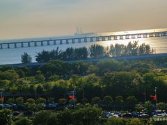 -宝安西湾红树林湿地公园