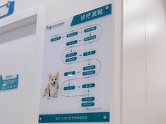 -瑞派康怡24h宠物医院·犬猫医疗中心·微创绝育(瑞景分院)