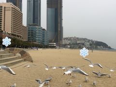 -海云台海滩