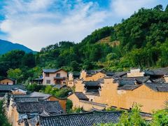 -杨家堂村