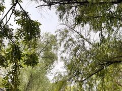 -仓桥直街
