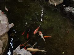 -道南書院·私房菜·早午茶·茶馆