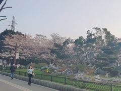 -堤角公园