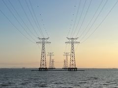 -宝安西湾红树林湿地公园