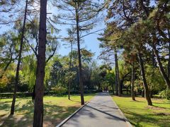 -长春市南湖公园