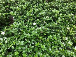 -马克叔叔儿童理发形象设计