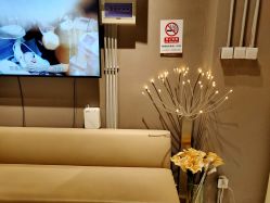 -三只熊皮肤管理中心