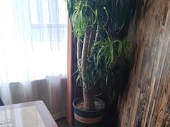 -慢丽江·云南野生菌土鸡锅(付家庄店)