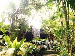 -绿光森林餐厅