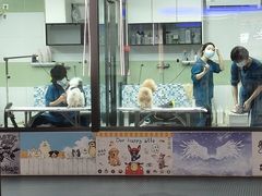 -全心全意动物诊疗中心医院(北苑店)