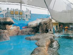 -海合安成都极地海洋公园