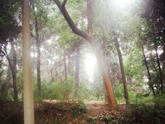 android_upload_pic-湖南烈士公园(芙蓉区)