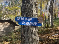 -帽儿山风景区