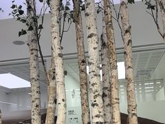 -极简口腔(总院)