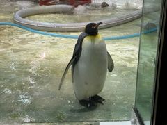 -大连圣亚海洋世界