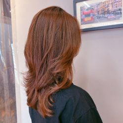 -藤野造型