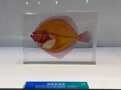 -生命奥秘博物馆