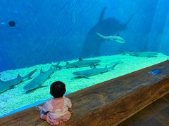 -华夏文旅海洋公园