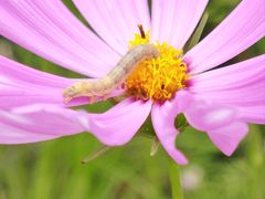 -青岛德国监狱旧址博物馆