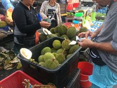 -Pasar Malam