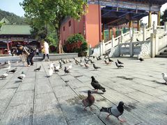 -六祖寺