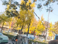 -一记洛阳菜·糖醋小排·水席(十字街店)