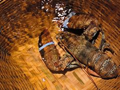 -拉完海鲜大排档(温岭店)