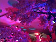 -巴特餐饮6加1音乐餐吧·新疆菜