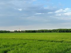 -嘉北郊野公园