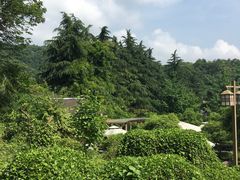 -杭州海华满陇度假酒店