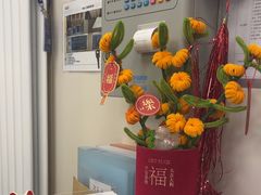 -美联众合爱康动物医院•复杂内科•肿瘤科•牙科•腔镜诊疗中心