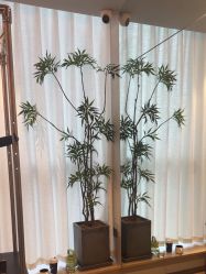 点击看大图 -花隐瑜伽·普拉提·红绳